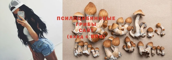 метадон Армянск