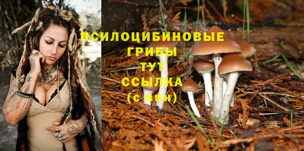 прущие крисы Аркадак